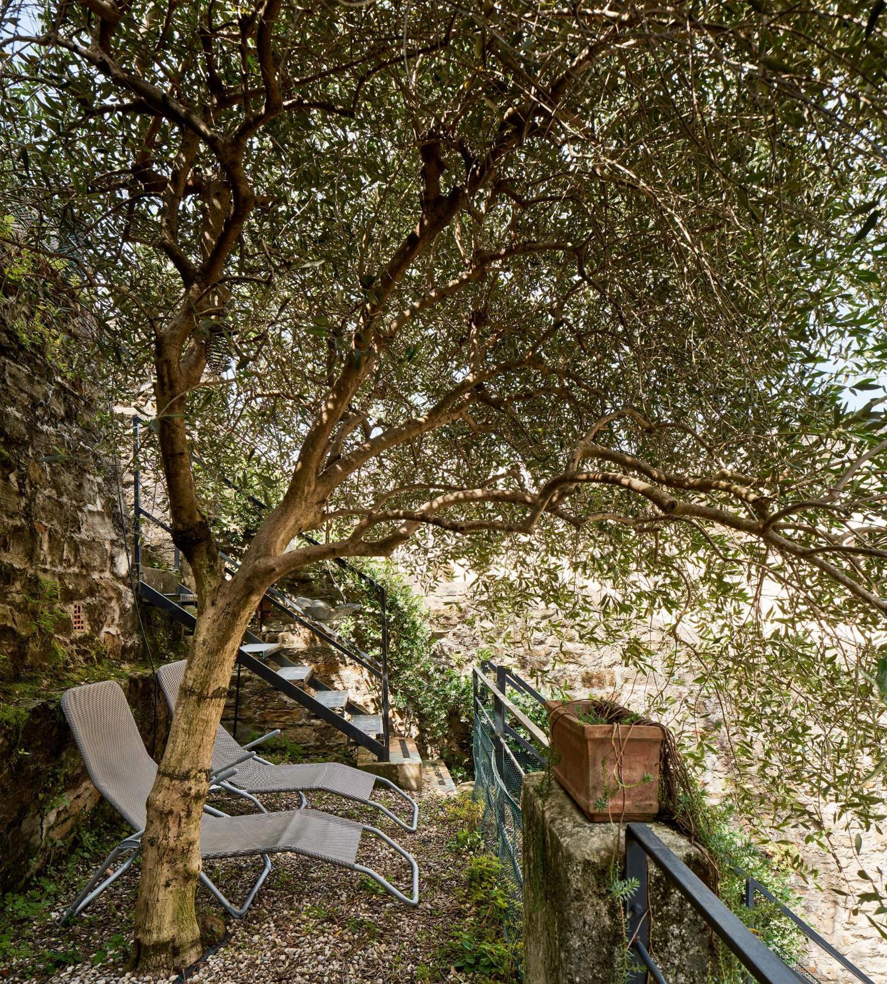Apartamento Giardino Segreto, In Centro Trieste Exterior foto